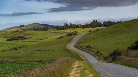 Dirt road passing through countryside, Longridge North, Southland, New Zealand