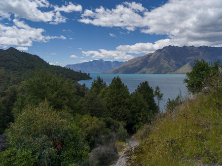 Lake surrounded by trees, Lake Wakatipu, Queenstown, Otago Region, South Island, New Zealandのeditorial素材