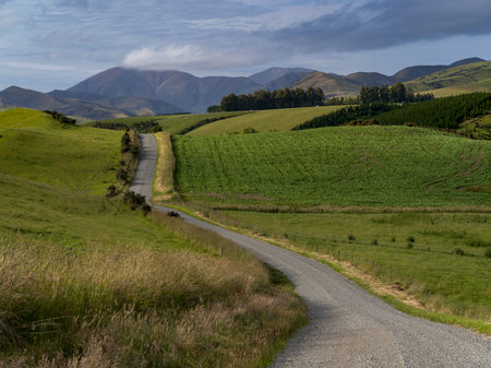 Dirt road passing through hill, Longridge North, Southland, New Zealandのeditorial素材