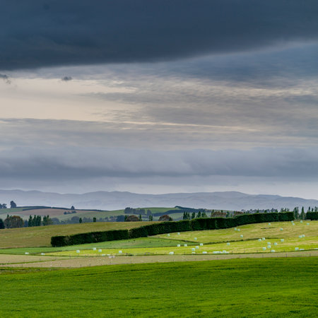 Scenic view of landscape, Longridge North, Southland, New Zealandのeditorial素材