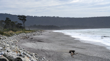 Scenic view of Bruce Bay Beach, Fox Glacier-Haast, Whataroa, West Coast Region, South Island, New Zealandのeditorial素材