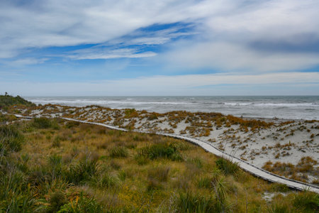 Scenic view of the seashore, Haast Beach, Haast, Wanaka, West Coast Region, South Island, New Zealandのeditorial素材