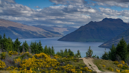 Lake surrounded by mountains, Lake Wakatipu, Queenstown Hill Time Walkway, Queenstown, Otago Region, South Island, New Zealandのeditorial素材