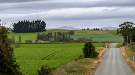 Dirt road passing through countryside, Longridge North, Southland, New Zealandのeditorial素材
