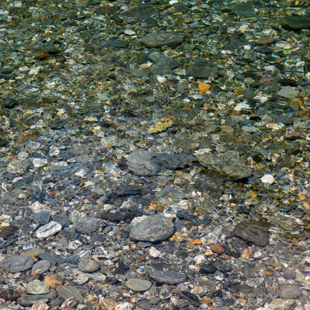 Elevated view of stones, Mt. Aspiring National Park, Makarora, Wanaka, Otago Region, South Island, New Zealandのeditorial素材