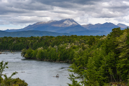 Vegetation along riverbank, Manapouri, Te Anau, Fiordland National Park, South Island, New Zealandのeditorial素材