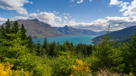 Lake surrounded by mountains, Lake Wakatipu, Queenstown Hill Time Walkway, Queenstown, Otago Region, South Island, New Zealandのeditorial素材