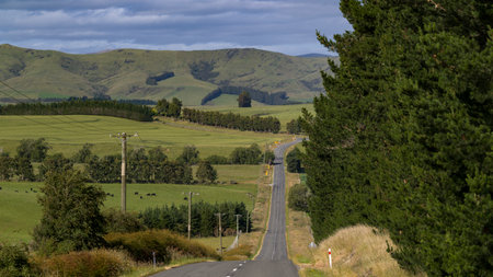 Road passing through field, Longridge North, Southland, New Zealandのeditorial素材