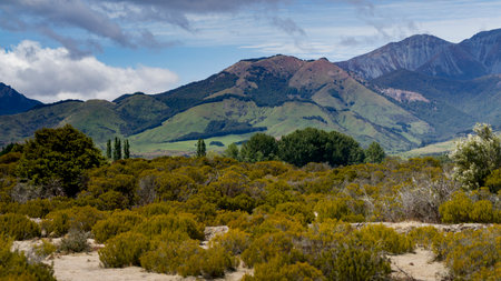 Field with mountain range in the background, North Island, New Zealandのeditorial素材