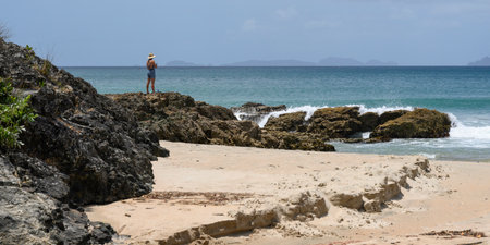 Tourist standing on rock on beach, Langs Beach, Waipu, Northland, North Island, New Zealandのeditorial素材