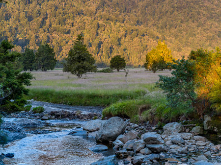 Landscape at Lake Matheson Walk, West Coast, South Island, New Zealandのeditorial素材