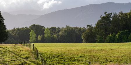 Agricultural field, Totara Flats, Grey County, South Island, New Zealandのeditorial素材