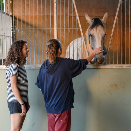 Two female friends standing near horse,  Hastings, Phillipa's Family Farm, Twyford, Hawke's Bay Region, North Island, New Zealandのeditorial素材