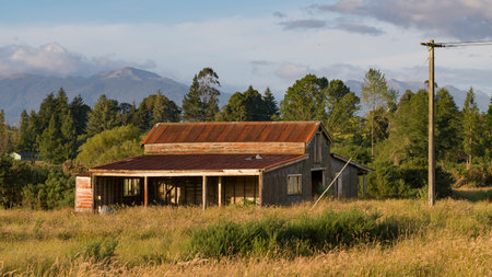Abandoned barn in a field, Totara Flats, Grey County, South Island, New Zealandのeditorial素材