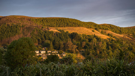 Trees and buildings on hillside landscape, New Zealandのeditorial素材