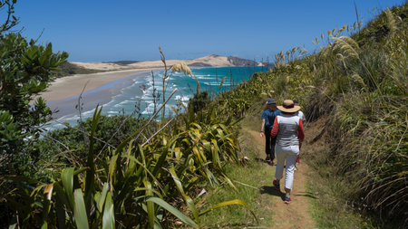 Tourists walking towards the beach, North Easternmost Tip, Aupouri Peninsula, Cape Reinga, North Island, New Zealandのeditorial素材