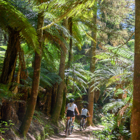 Two women riding bicycles, Rotorua, Bay Of Plenty Region, North Island, New Zealandのeditorial素材