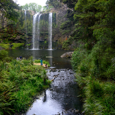 Tourists at Whangarei Falls, Whangarei Scenic Reserve, Tikipunga, North Island, New Zealandのeditorial素材