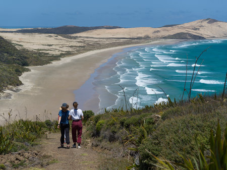 Friends walking towards the beach, North Easternmost Tip, Aupouri Peninsula, Cape Reinga, North Island, New Zealandのeditorial素材