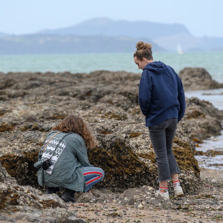 Tourists on the beach, Paihia, Bay Of Islands, North Island, New Zealandのeditorial素材