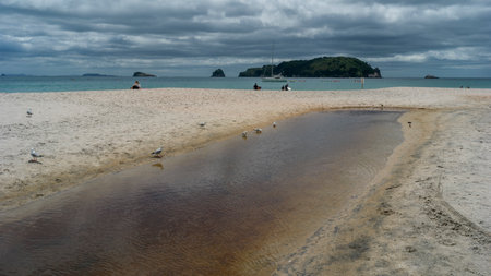 Tourists at Hahei Beach, The Coromandel, North Island, New Zealandのeditorial素材