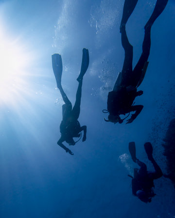 Scuba divers underwater, Barracuda Bommie Dive Site, Great Barrier Reef, Queensland, Australiaのeditorial素材
