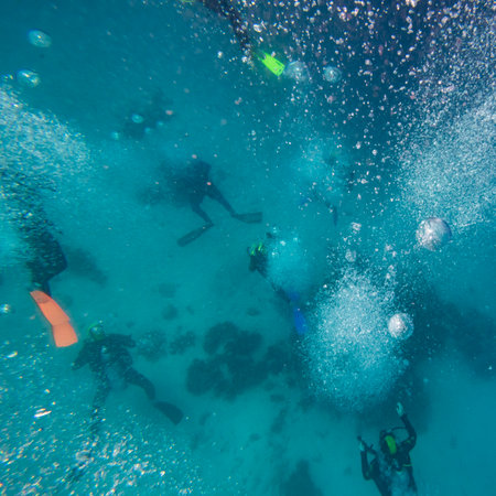 Scuba divers underwater, Turtle Bommie Dive Site, Great Barrier Reef, Queensland, Australiaのeditorial素材