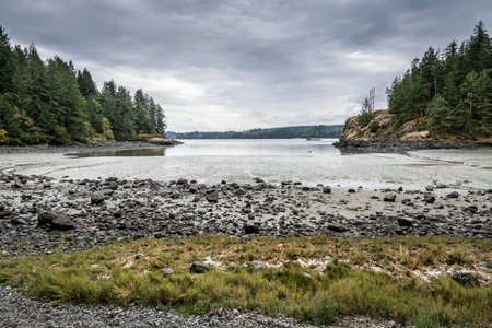 Inlet along Ripple Rock Hiking Trail, Johnstone Strait, Vancouver Island, British Columbia, Canadaのeditorial素材