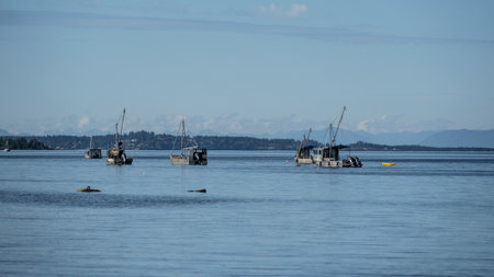 Boats on Johnstone Strait, Vancouver Island, British Columbia, Canadaのeditorial素材