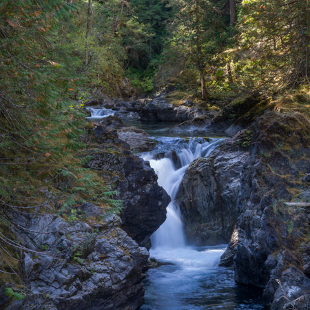 River flowing through Englishman River Falls Provincial Park, Vancouver Island, British Columbiaのeditorial素材