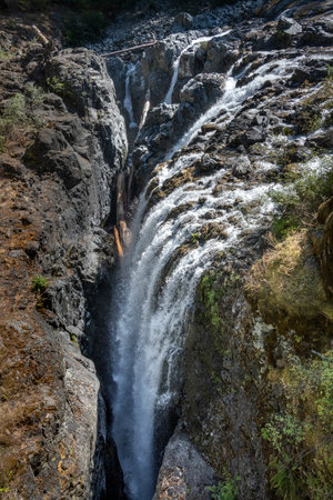 Waterfall in Englishman River Falls Provincial Park, Vancouver Island, British Columbia, Canadaのeditorial素材