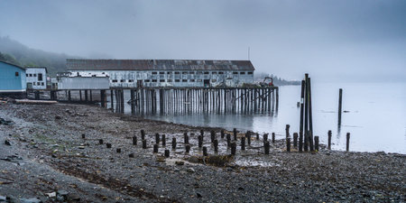 Shoreline along Cormorant Island, Johnstone Strait, British Columbia, Vancouver Island, Canadaのeditorial素材