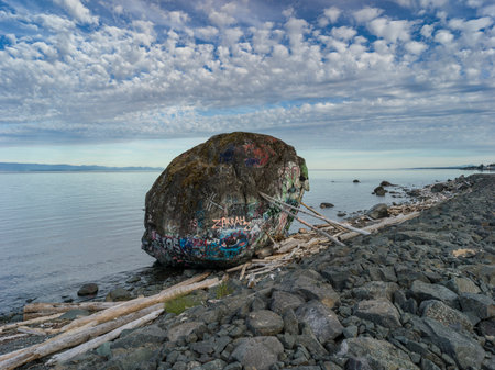 Boulder on the shoreline of Campbell River, Johnstone Strait, Vancouver Island, British Columbia, Canadaのeditorial素材