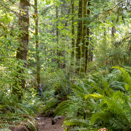 Forest at Ripple Rock in Seymour Narrows, Discovery Passage, British Columbia, Canada.のeditorial素材
