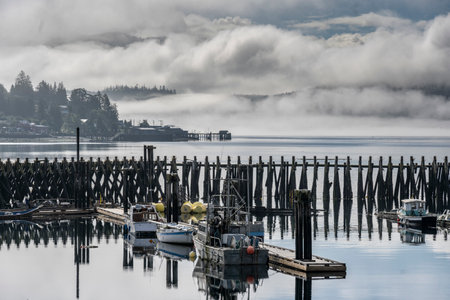 Boats docked and shoreline along Alert Bay, Cormorant Island, Johnstone Strait, Vancouver Island, British Columbia, Canadaのeditorial素材