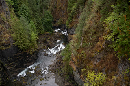 Pond at the bottom of a ravine in Elk Falls Provincial Park, Campbell River, Vancouver Island, British Columbia, Canadaのeditorial素材