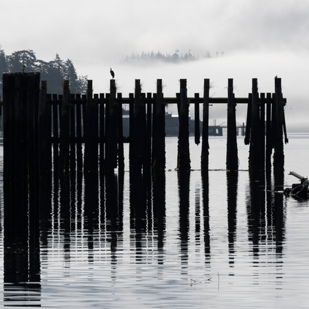 Wall of posts along the shore of Alert Bay, Cormorant Island, Johnstone Strait, British Columbia, Vancouver Island, Canadaのeditorial素材