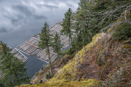 Logging along the Johnstone Strait, Vancouver Island, British Columbia, Canadaのeditorial素材