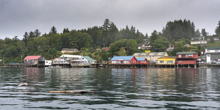 Buildings along the shoreline of Cormorant Island, Johnstone Strait, British Columbia, Vancouver Island, Canadaのeditorial素材
