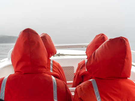 Rear view of whale watchers in orange full body life jackets sitting at the front of a boat on...