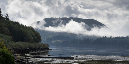 Shoreline Landscape along Holberg Inlet, Vancouver Island, British Columbia, Canadaのeditorial素材