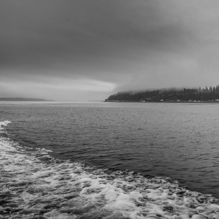 Shoreline along Johnstone Strait, Vancouver Island, British Columbia, Canadaのeditorial素材