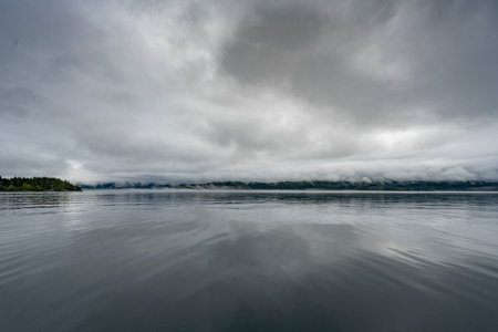 Shoreline along Johnstone Strait, Vancouver Island, British Columbia, Canadaのeditorial素材