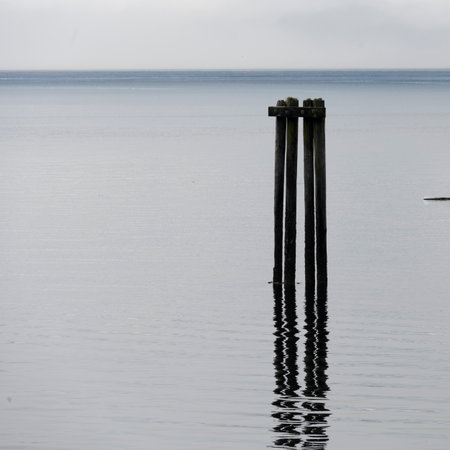 Posts in the ocean along shoreline of Alert Bay, Cormorant Island, Johnstone Strait, Vancouver Island, British Columbia, Canadaのeditorial素材