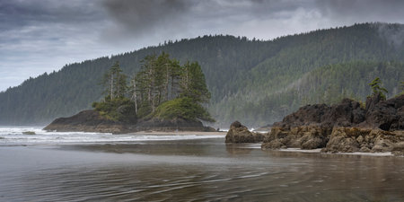 Shoreline in Cape Scott Provincial Park, San Josef Bay, Vancouver Island, British Columbia, Canadaのeditorial素材