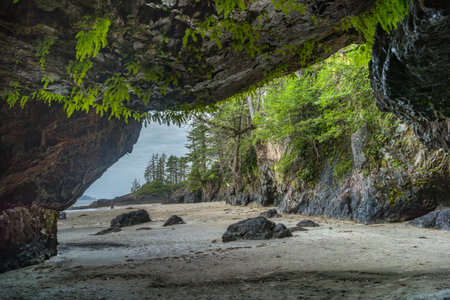 Rocky Shoreline in Cape Scott Provincial Park, San Josef Bay, Vancouver Island, British Columbia, Canadaのeditorial素材