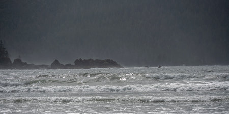 Shoreline in Cape Scott Provincial Park, San Josef Bay, Vancouver Island, British Columbia, Canadaのeditorial素材
