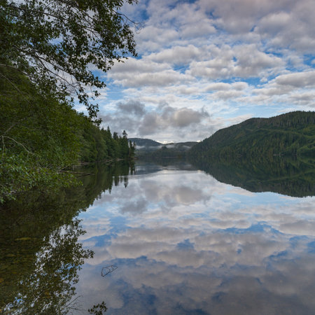 Shoreline Landscape along Regional District of Mount Waddington Vancouver Island, British Columbia, Canadaのeditorial素材