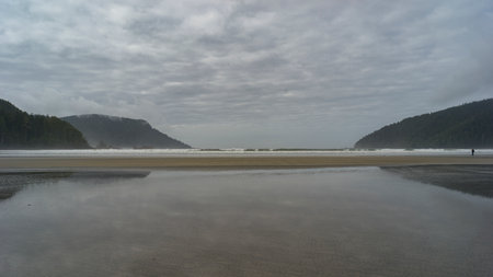 Shoreline in Cape Scott Provincial Park, San Josef Bay, Vancouver Island, British Columbia, Canadaのeditorial素材