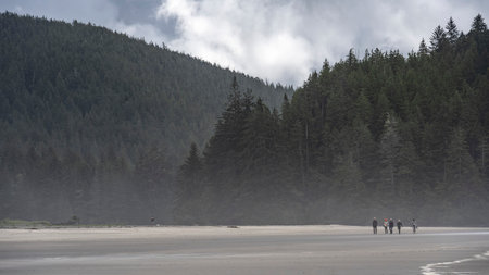 Tourists strolling along Shoreline in Cape Scott Provincial Park, San Josef Bay, Vancouver Island, British Columbia, Canadaのeditorial素材